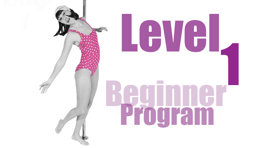 Beginner Level 1 Program