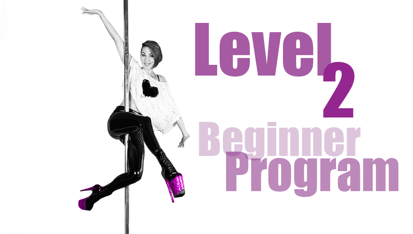 Beginner Level 2 Program