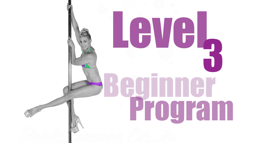 Beginner Level 3 Program