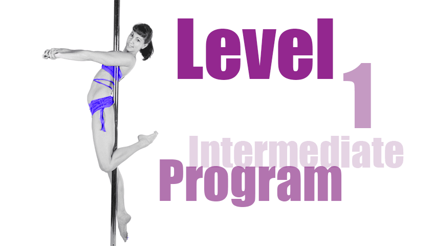 Intermediate Level 1 Program