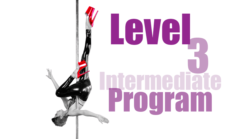 Intermediate Level 3 Program